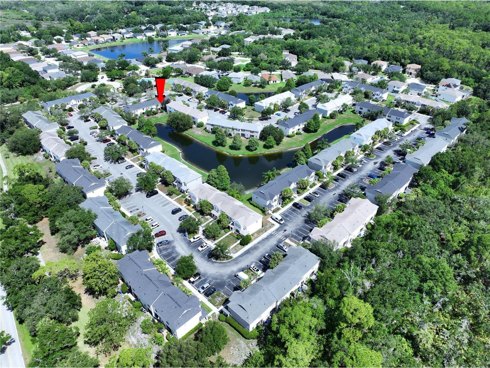 12207 Country White Circle Tampa FL 33635 TB8526744 image33