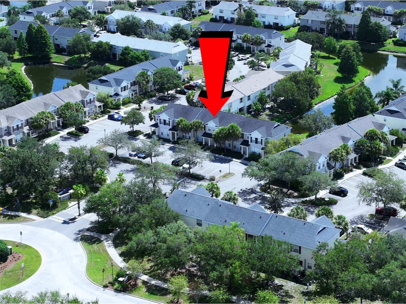 12207 Country White Circle Tampa FL 33635 TB8526744 image4