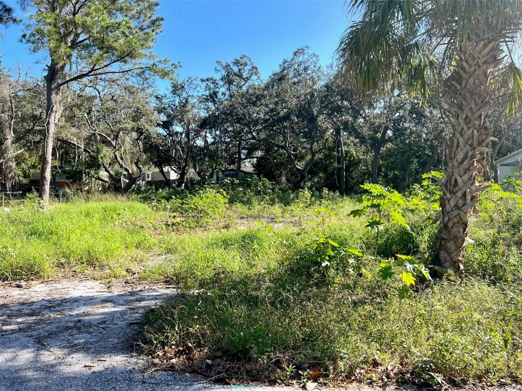 12208 Elkton Avenue Hudson FL 34667 T3434847 image1