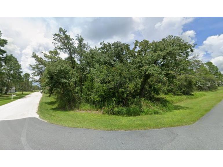 12208 Filbert Road Weeki Wachee FL 34614 TB8428207 image1