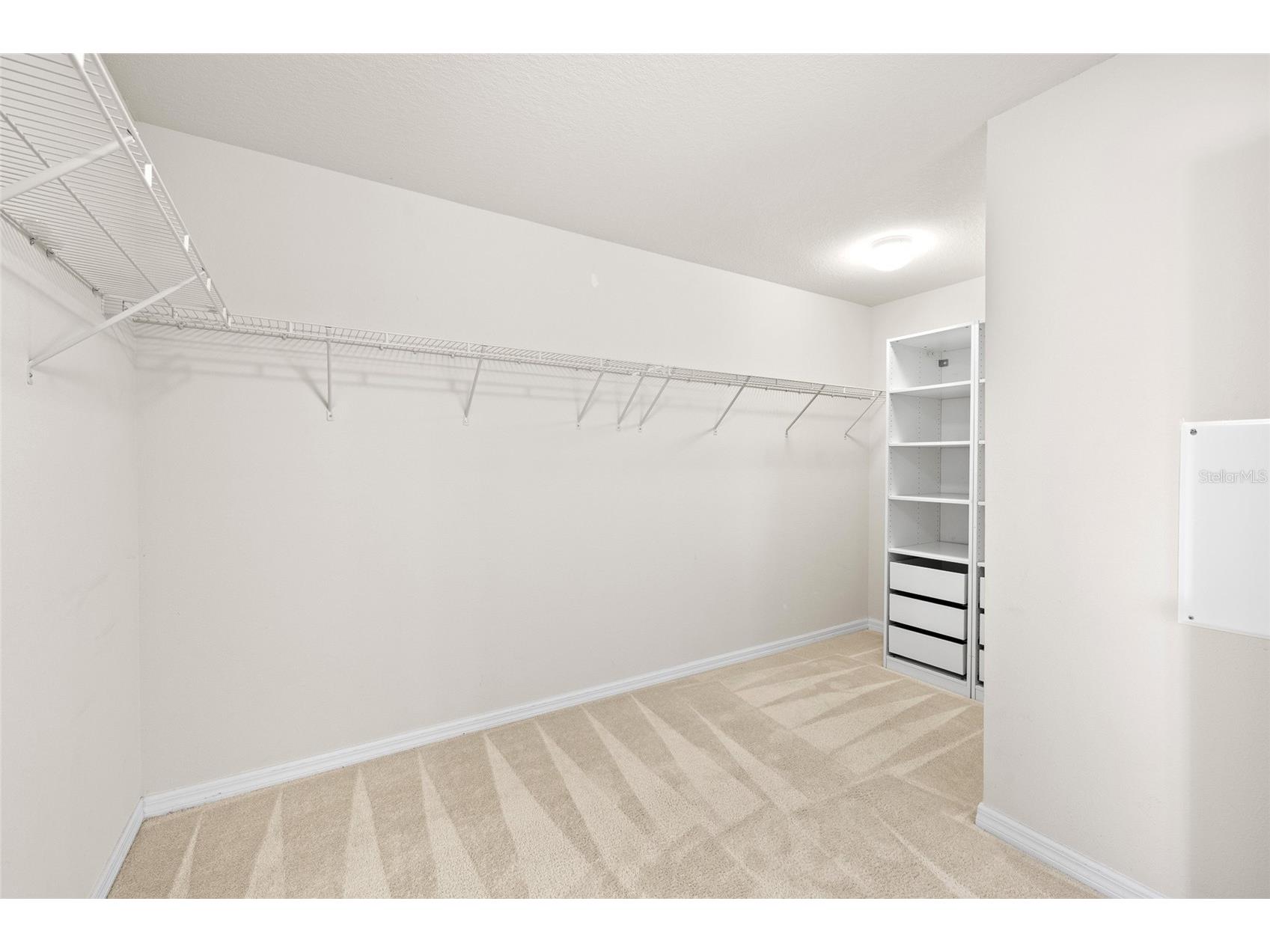 12208 Morgans Bluff Place Riverview FL 33579 TB8468361 image26