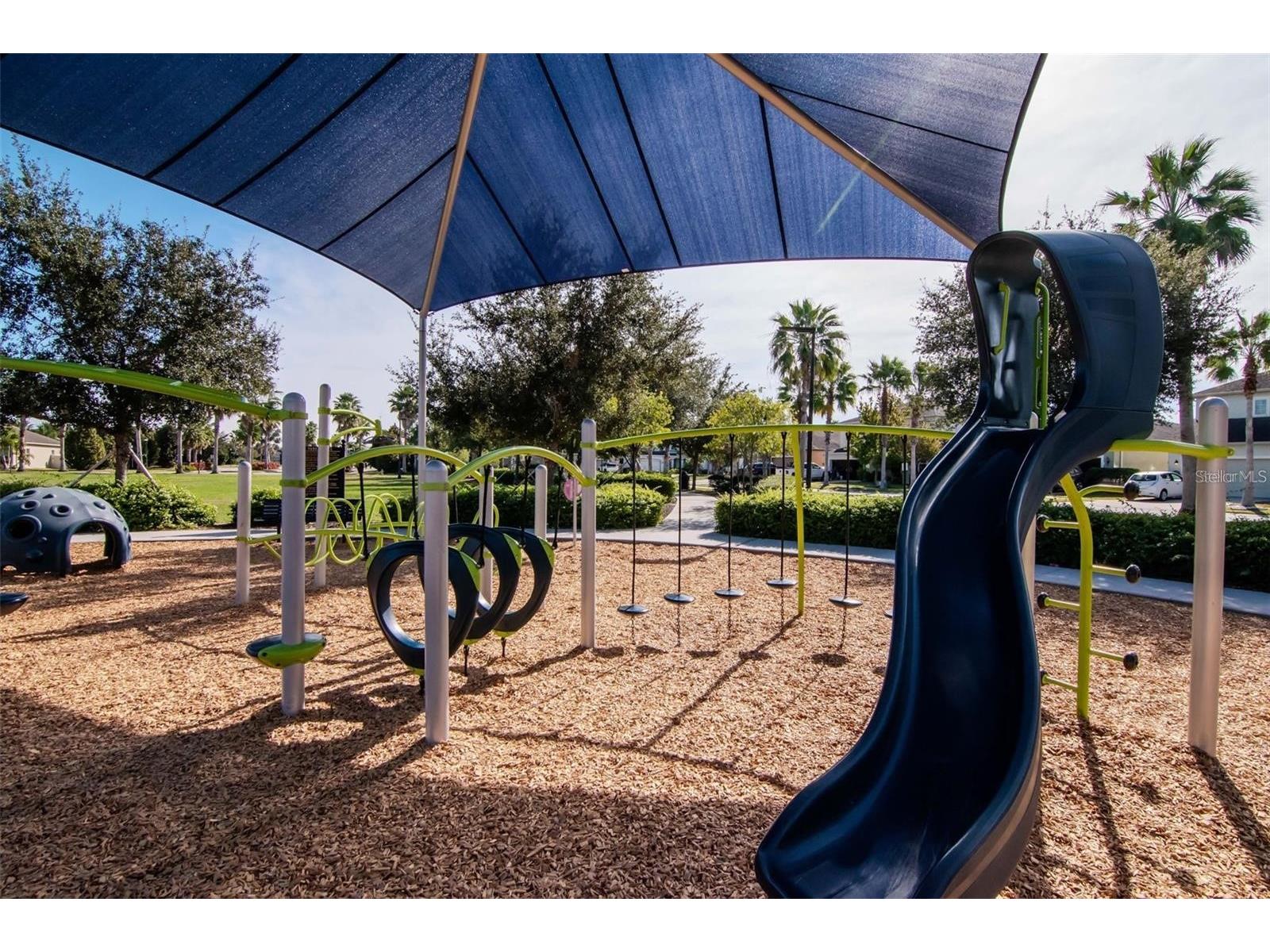 12208 Morgans Bluff Place Riverview FL 33579 TB8468361 image49