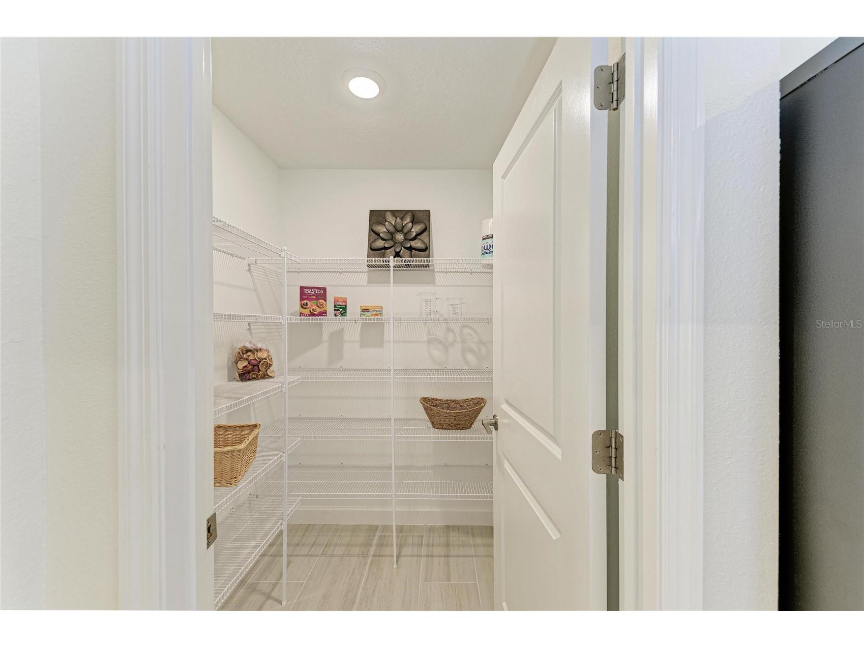 12208 Violet Jasper Drive Parrish FL 34219 A4676733 image21