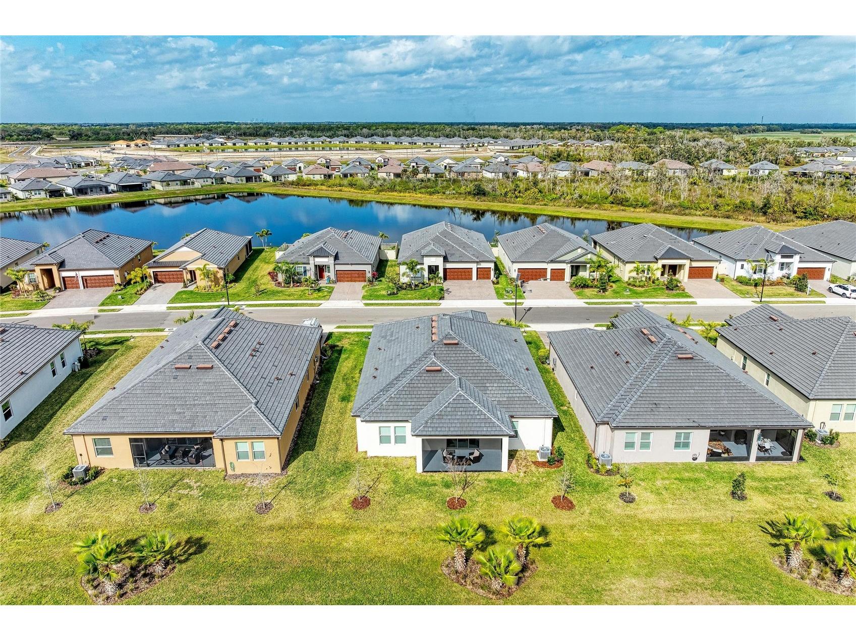 12208 Violet Jasper Drive Parrish FL 34219 A4676733 image5