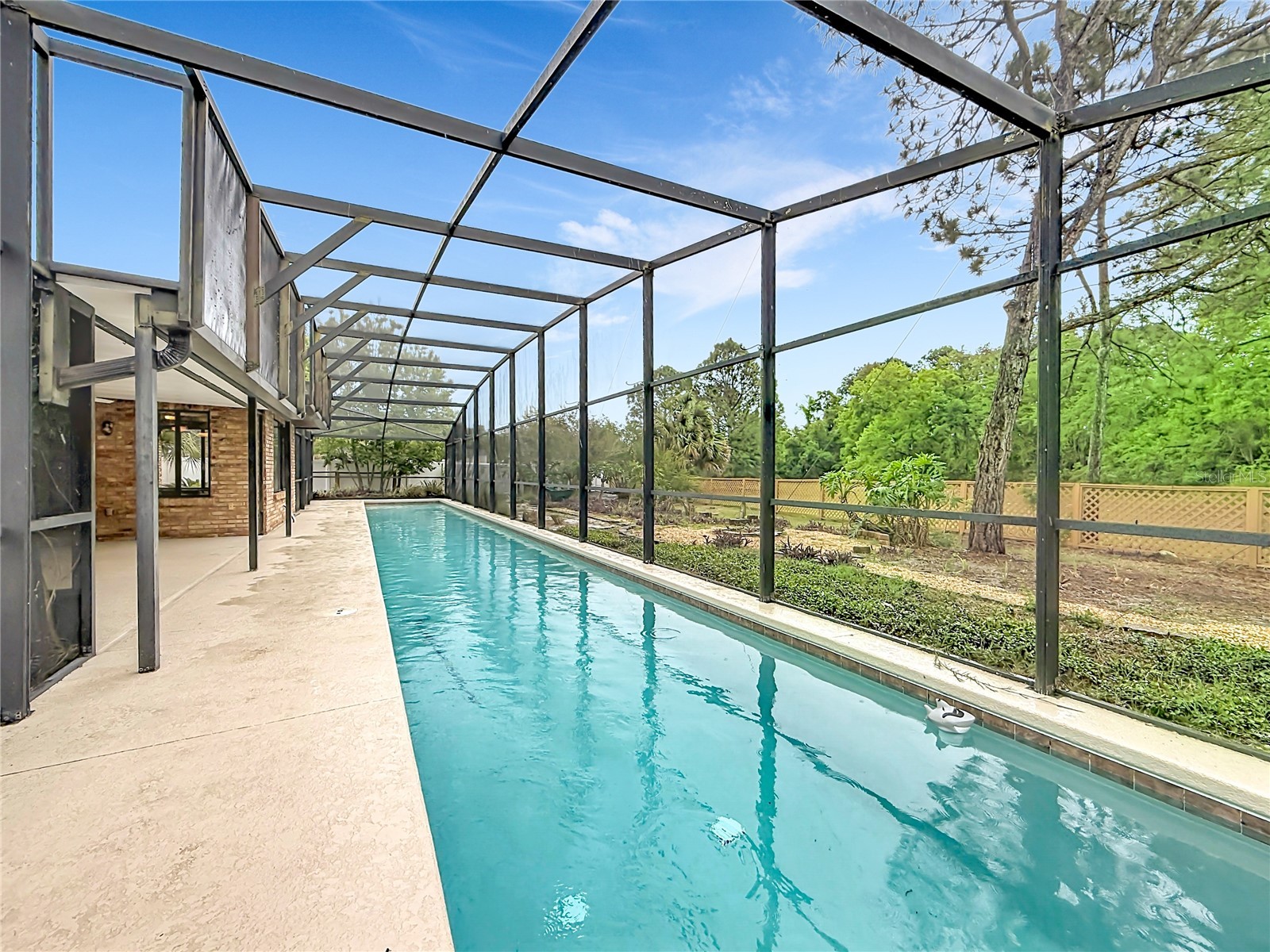 12208 Wedgefield Drive Grand Island FL 32735 G5110633 image34