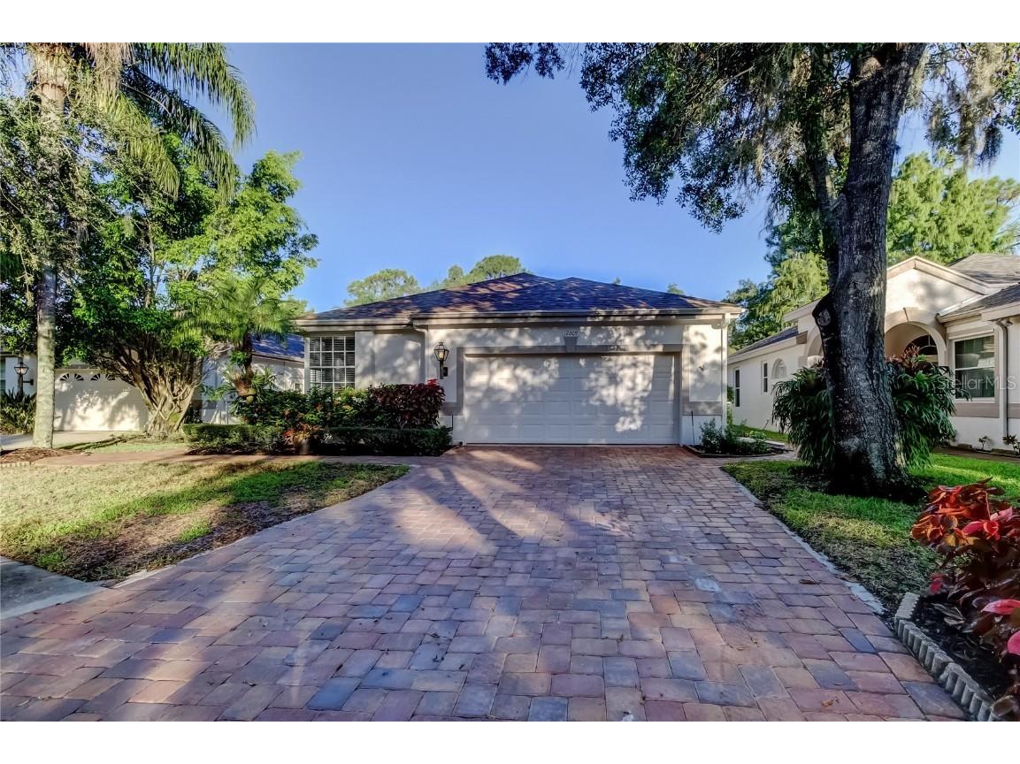 12209 Glencliff Circle Tampa FL 33626 TB8423091 image1