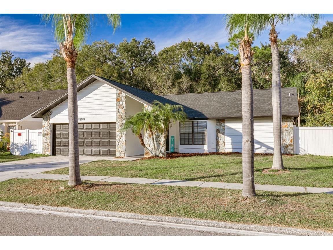 12209 Steppingstone Boulevard Tampa FL 33635 U8223002 image1