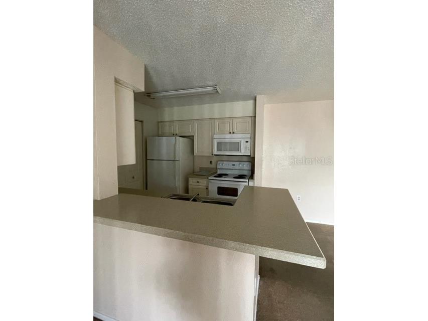 1221 Bermuda Lakes Lane #202 Kissimmee FL 34741 S5126996 image4