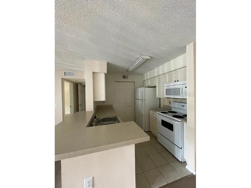 1221 Bermuda Lakes Lane #202 Kissimmee FL 34741 S5126996 image5