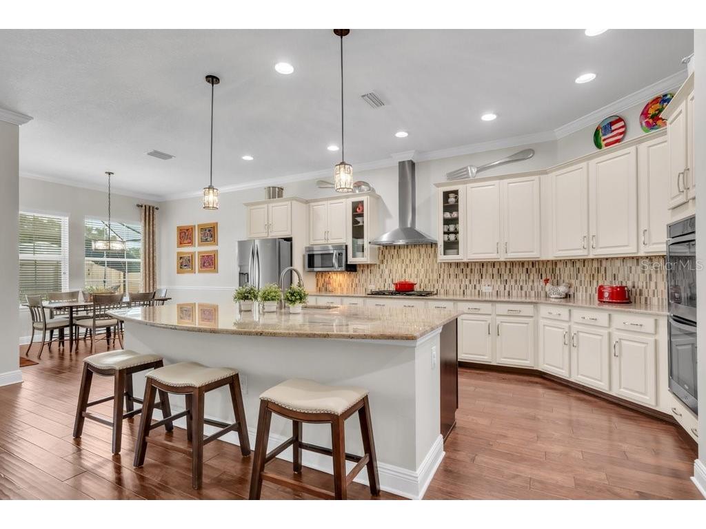 1221 Cadence Court Brandon FL 33511 TB8496803 image13