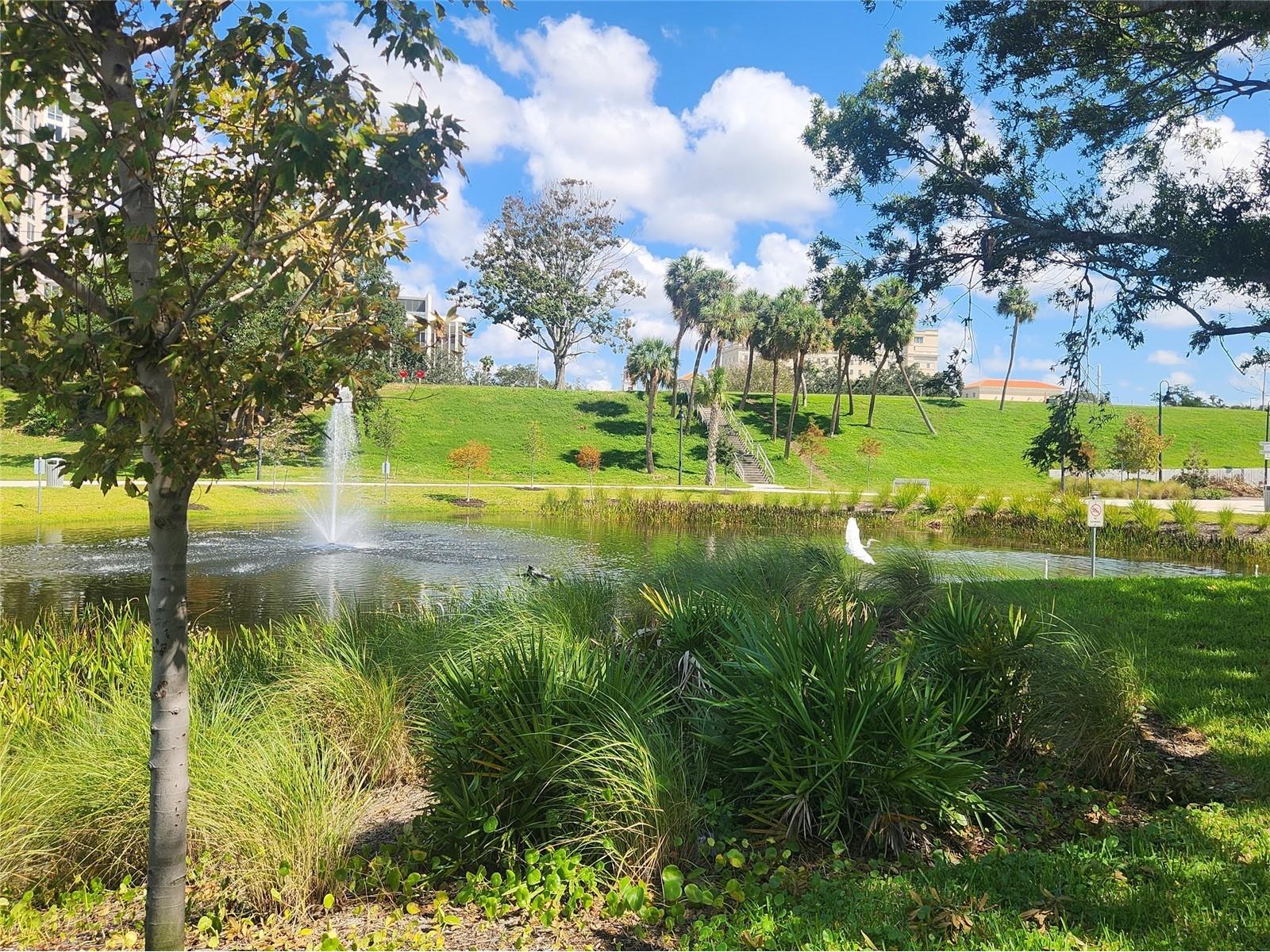 1221 Drew Street #E12 Clearwater FL 33755 TB8510493 image48