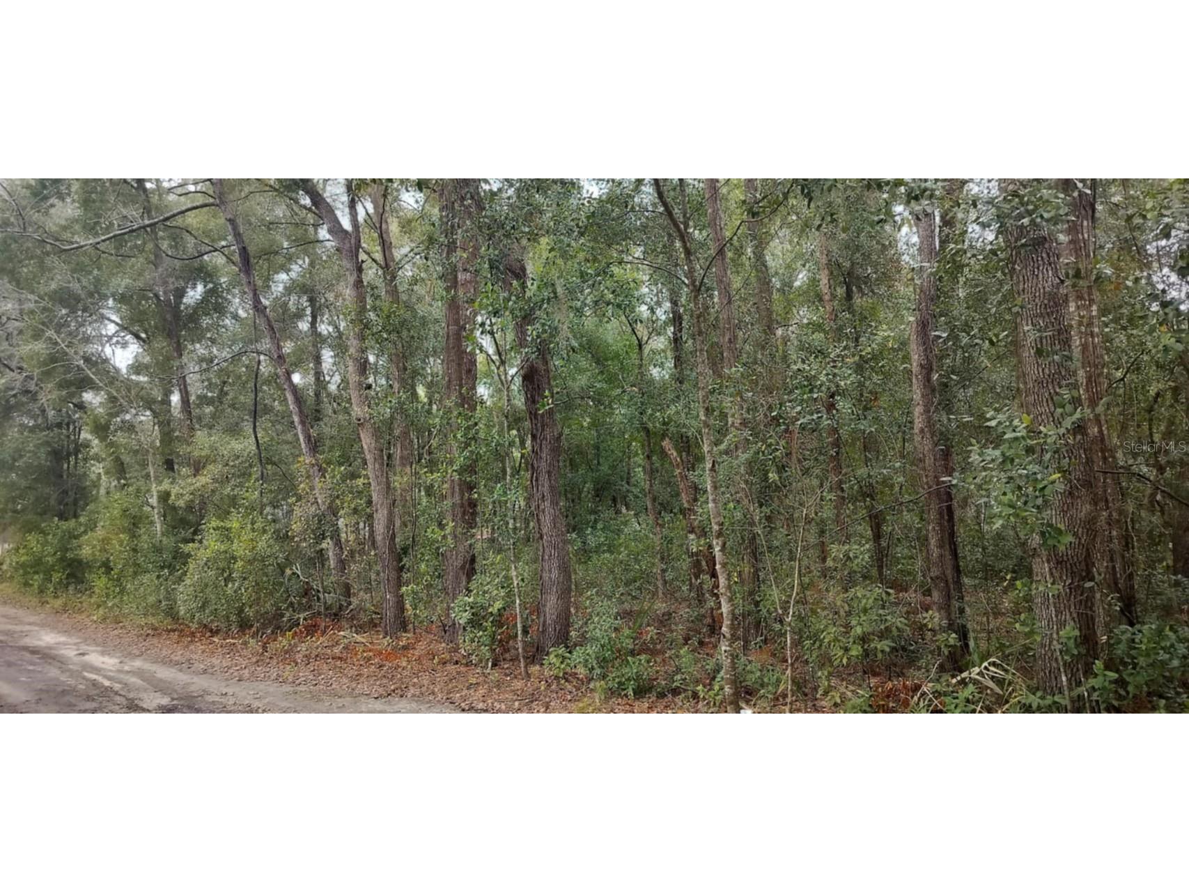 1221 E Rhapsody Lane Hernando FL 34442 TB8341921 image1