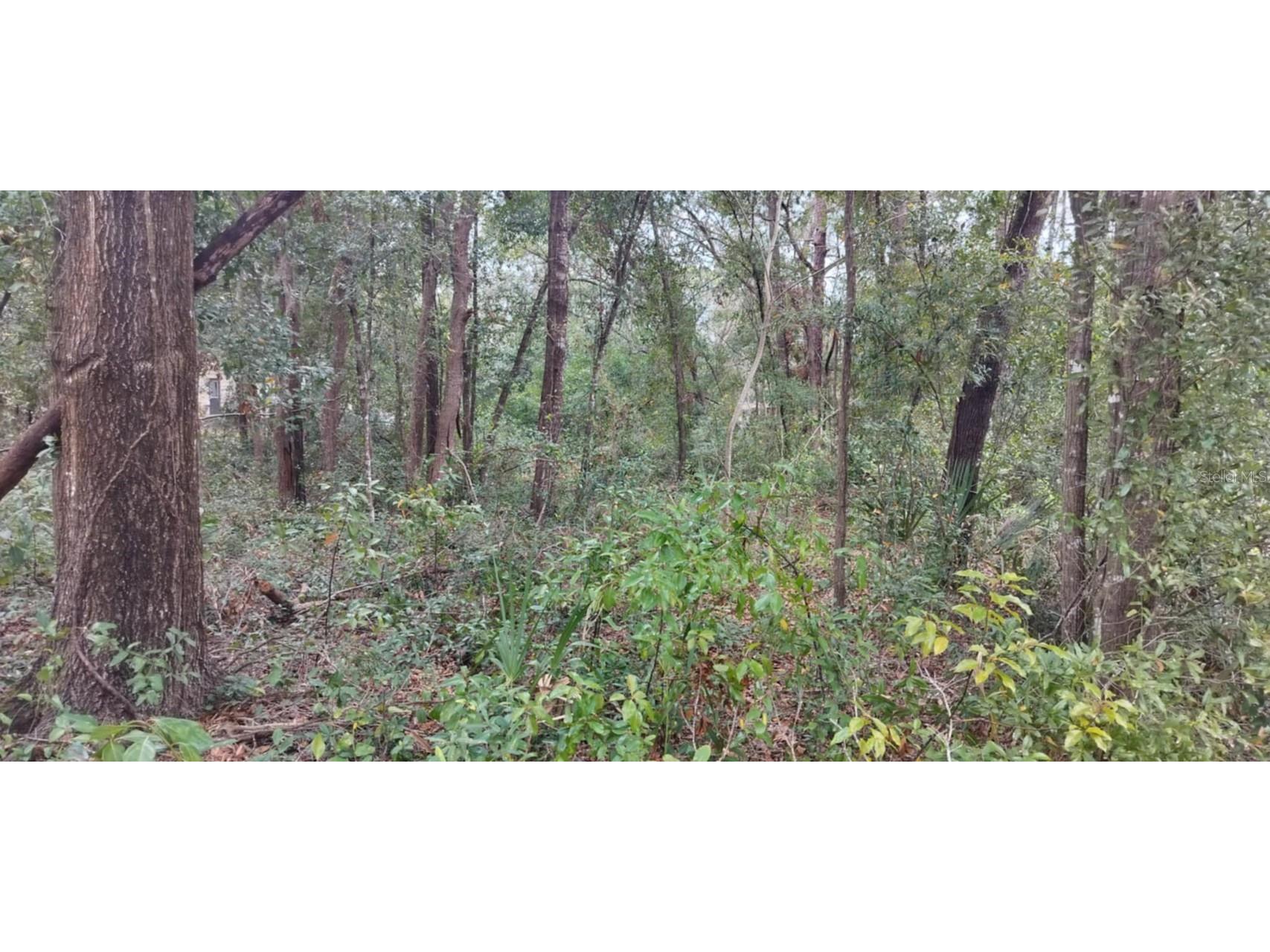 1221 E Rhapsody Lane Hernando FL 34442 TB8341921 image10