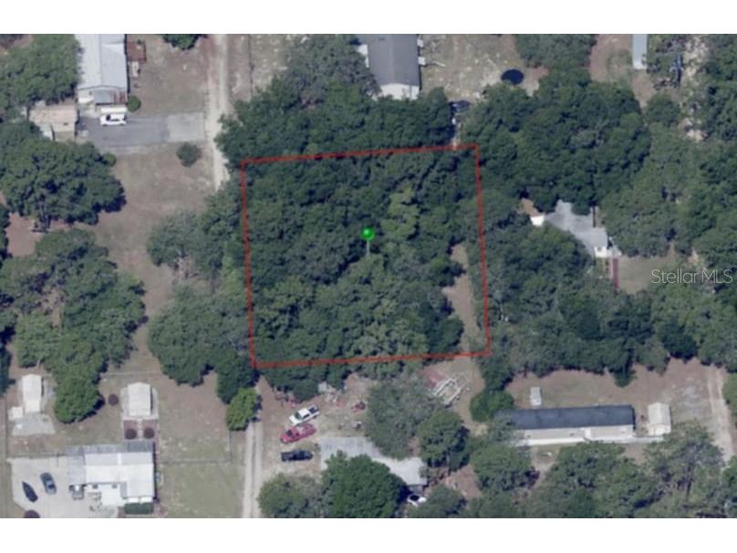 1221 E Rhapsody Lane Hernando FL 34442 TB8341921 image13