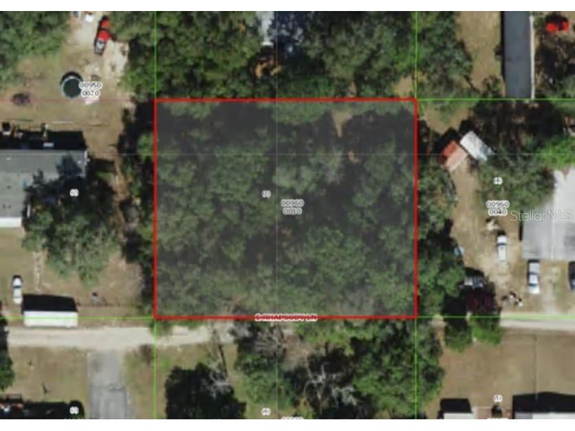 1221 E Rhapsody Lane Hernando FL 34442 TB8341921 image2