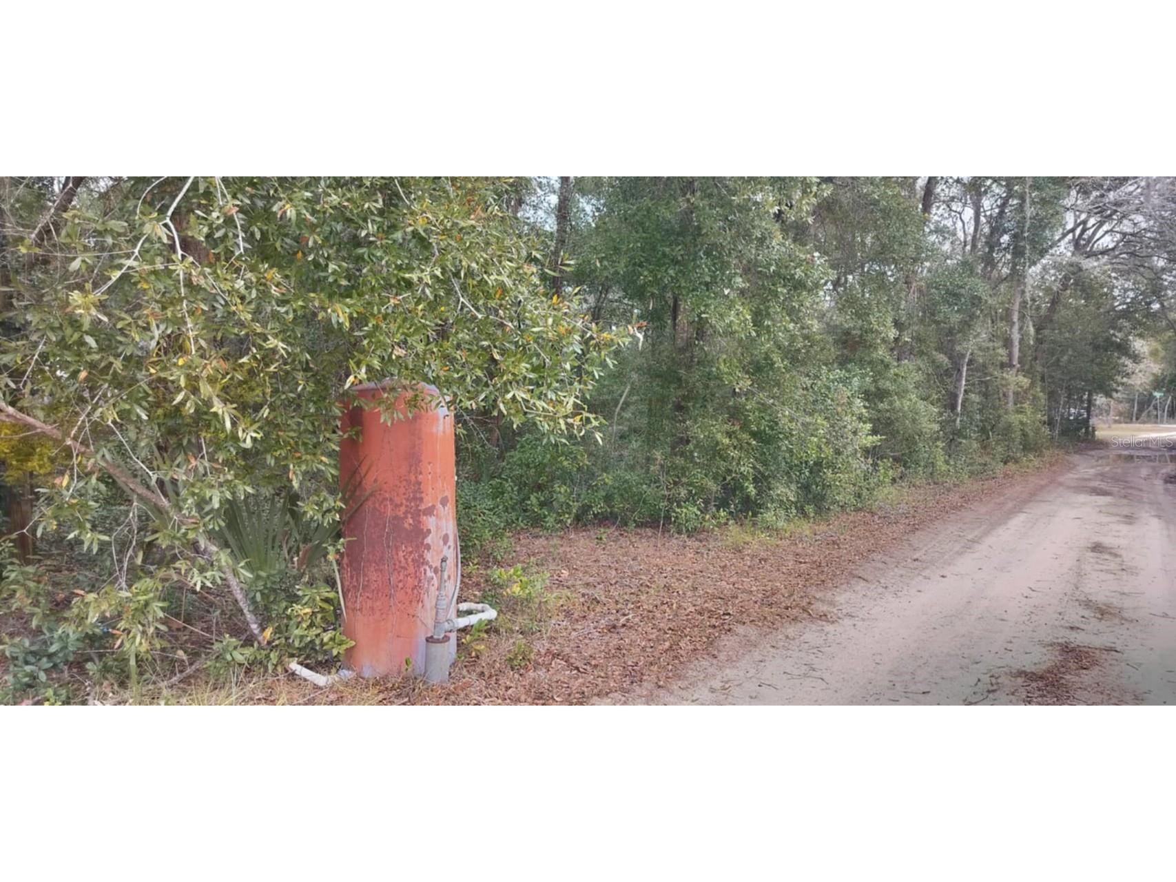 1221 E Rhapsody Lane Hernando FL 34442 TB8341921 image3