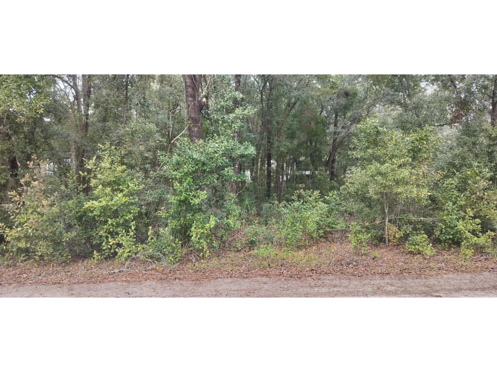 1221 E Rhapsody Lane Hernando FL 34442 TB8341921 image4