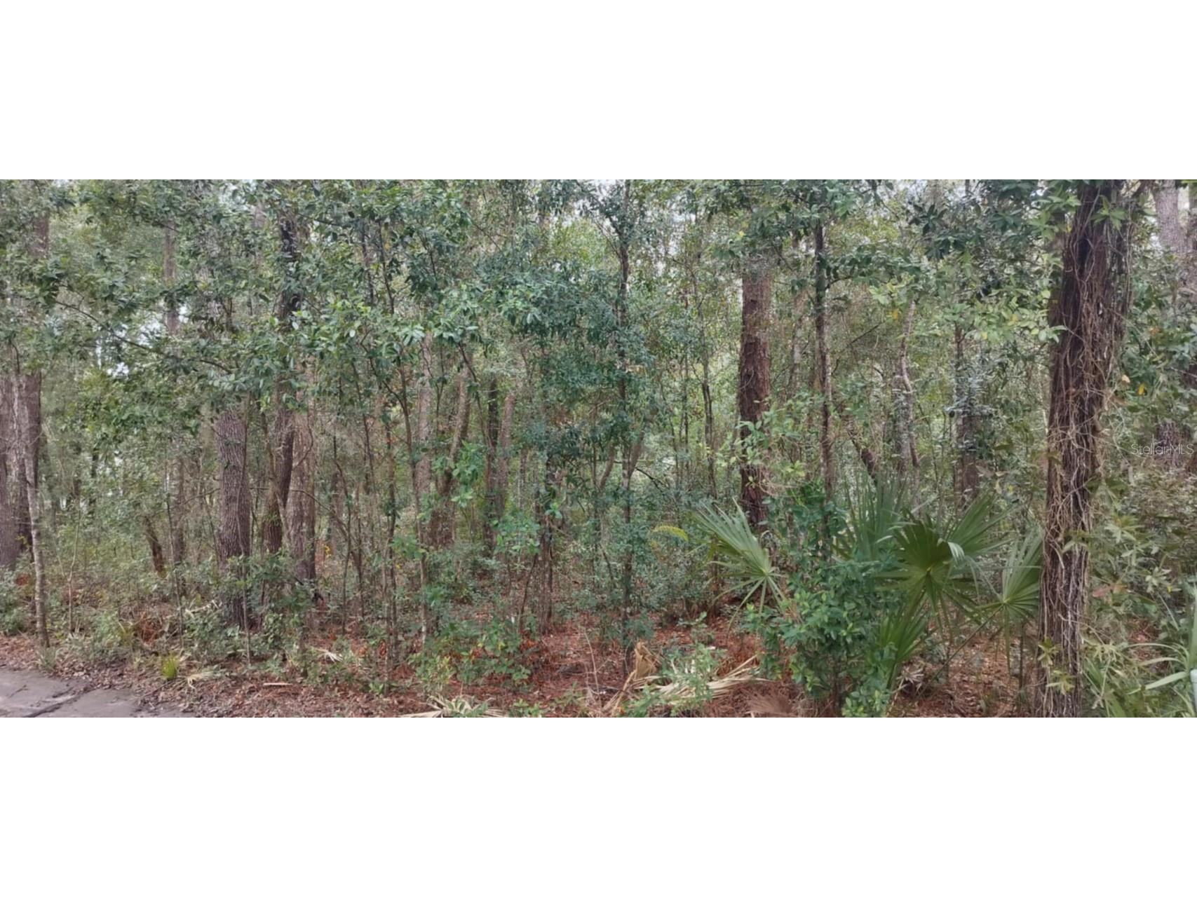 1221 E Rhapsody Lane Hernando FL 34442 TB8341921 image5