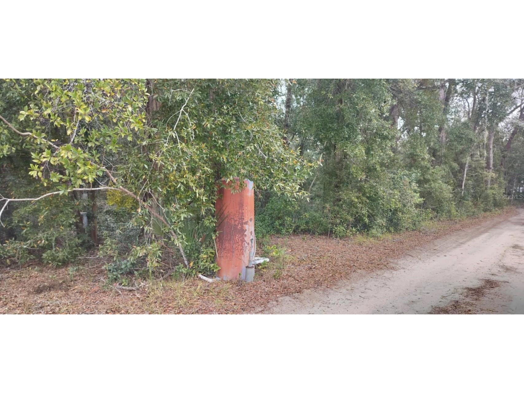 1221 E Rhapsody Lane Hernando FL 34442 TB8341921 image8