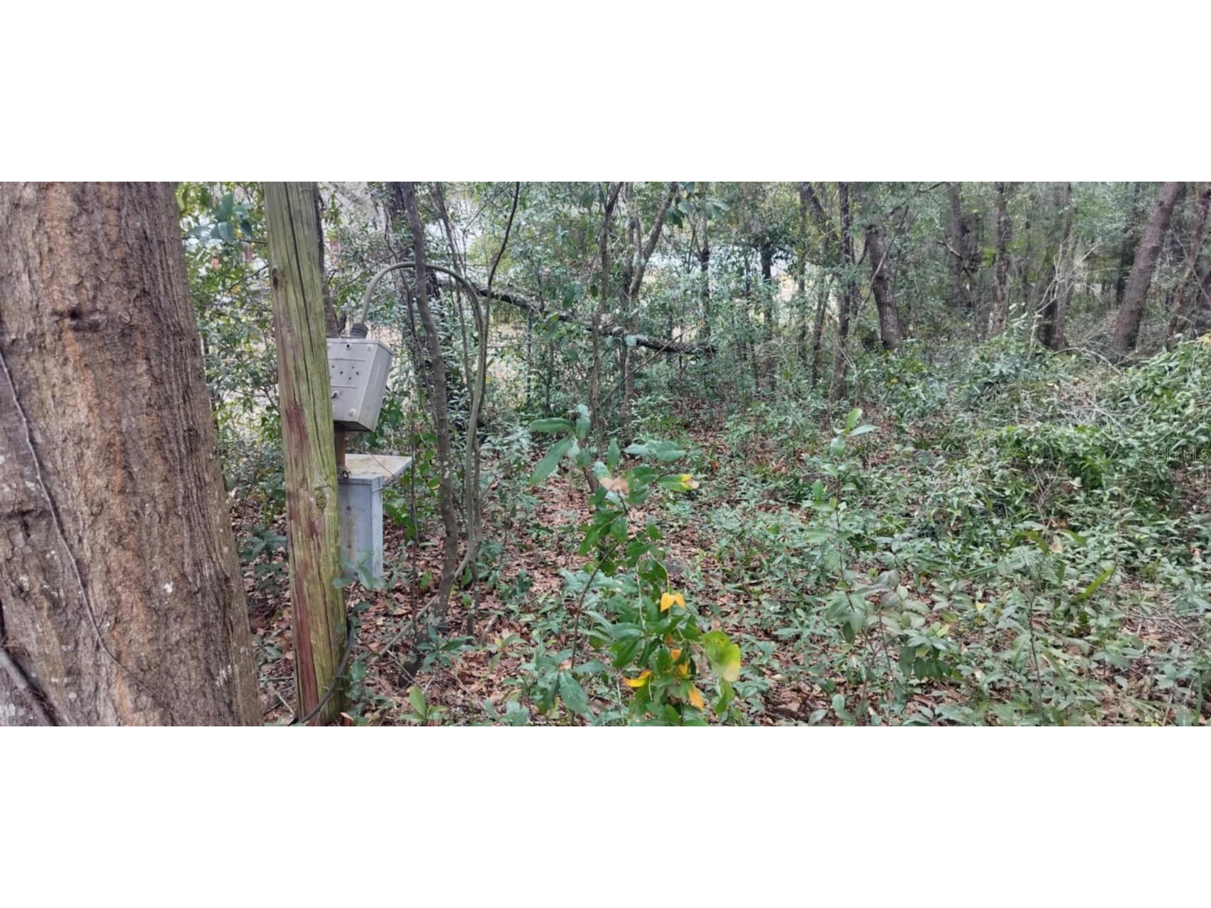 1221 E Rhapsody Lane Hernando FL 34442 TB8341921 image9