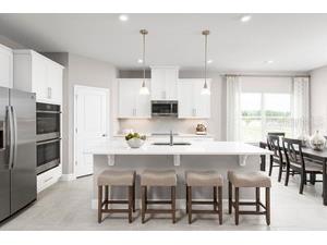 1221 Ivy Manor Street Minneola FL 34715 W7883468 image5