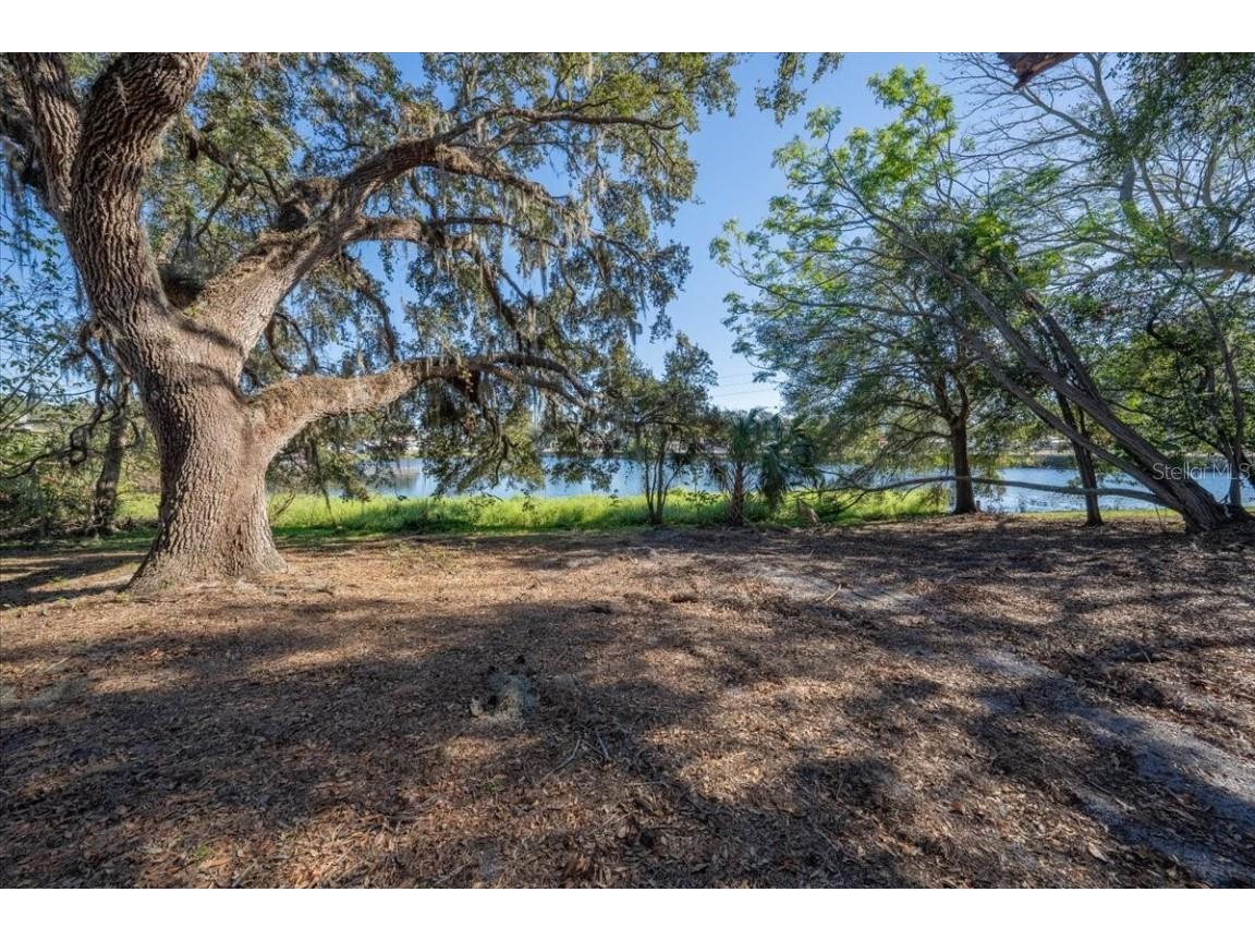 1221 Lakeside Drive Brandon FL 33510 TB8336075 image1