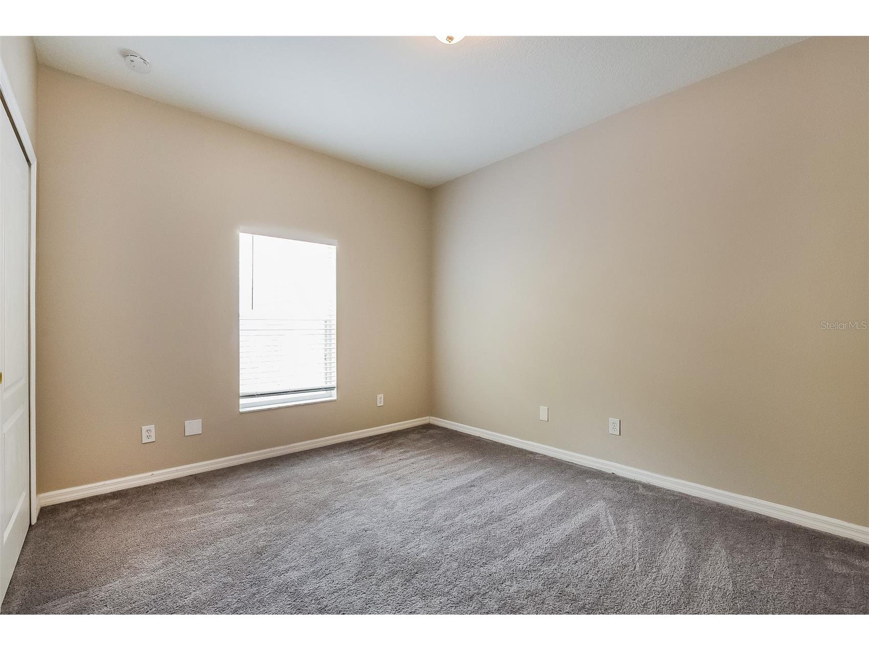 1221 Longville Circle Tavares FL 32778 O6414120 image13
