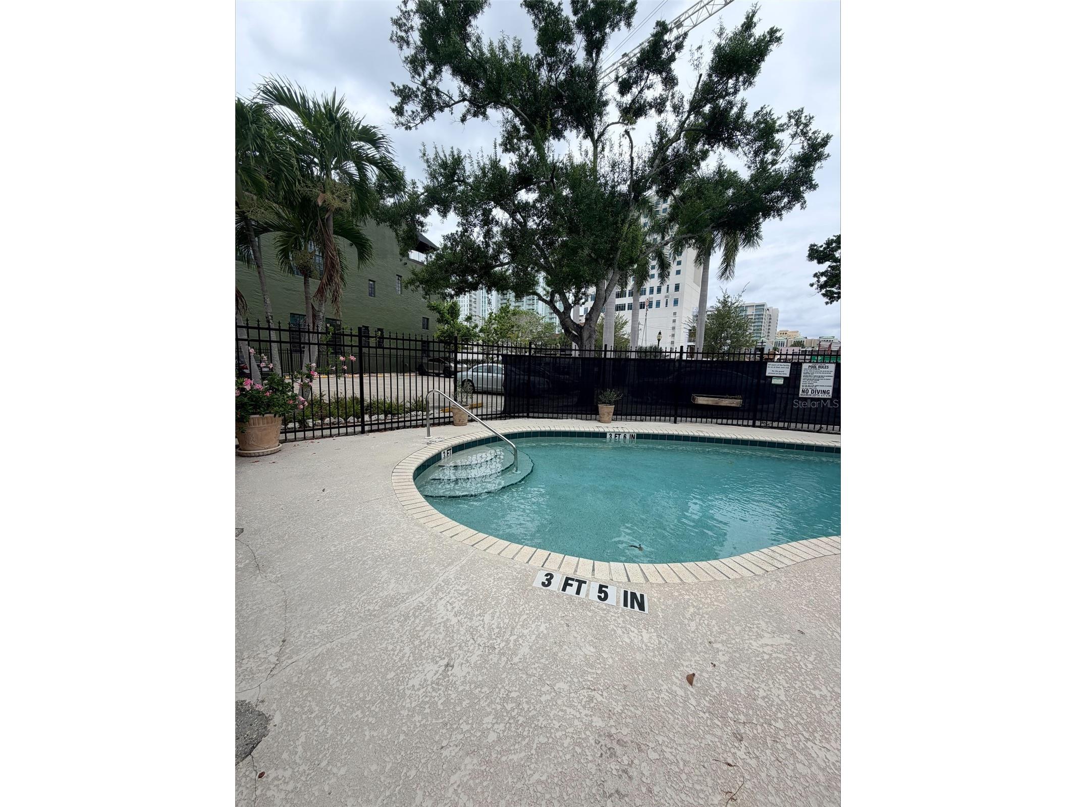 1221 N Palm Avenue #204 Sarasota FL 34236 A4695937 image20