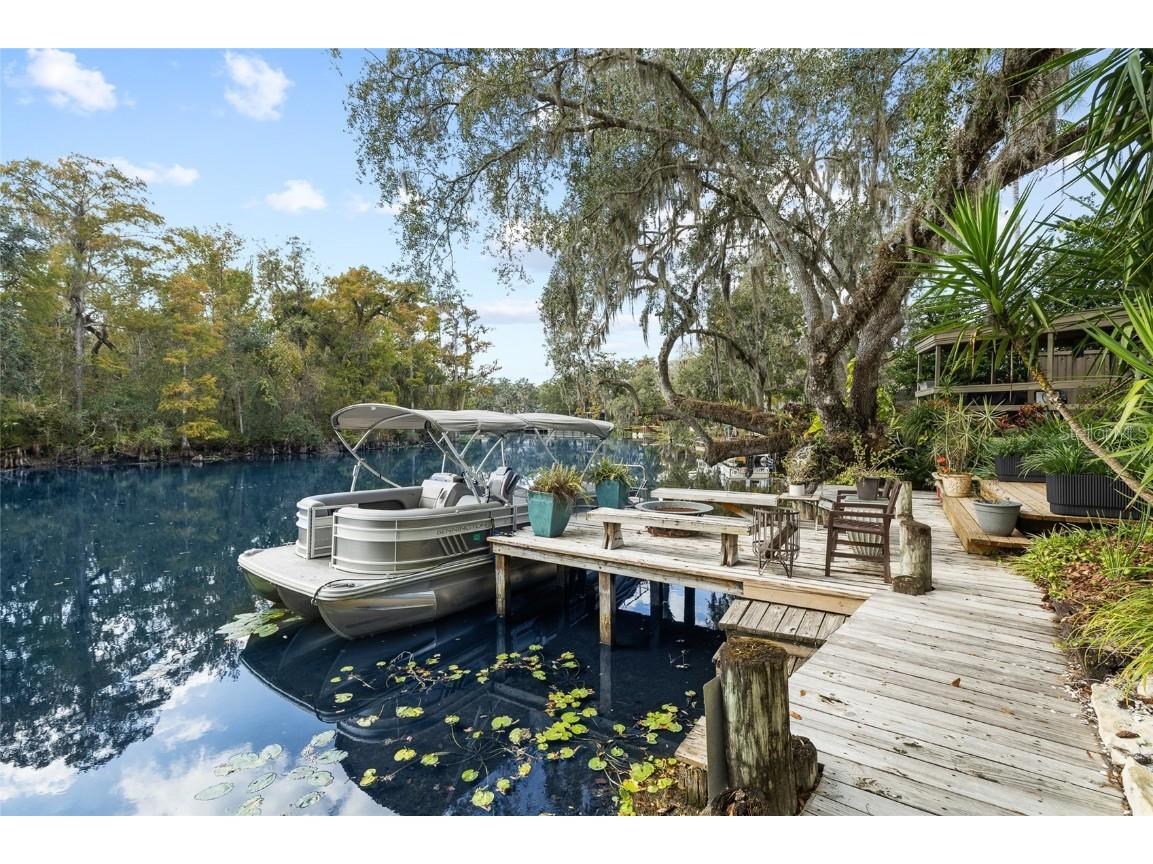 1221 N Riverhills Drive Temple Terrace FL 33617 - HILLSBOROUGH RIVER TB8449712 image3