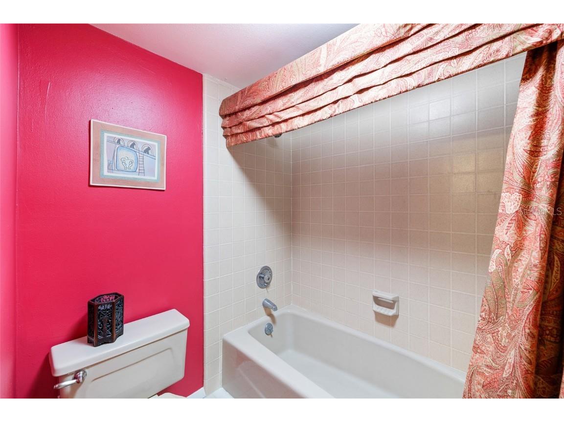 1221 N Riverhills Drive Temple Terrace FL 33617 - HILLSBOROUGH RIVER TB8449712 image50