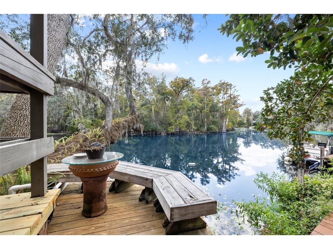 1221 N Riverhills Drive Temple Terrace FL 33617 - HILLSBOROUGH RIVER TB8449712 image72