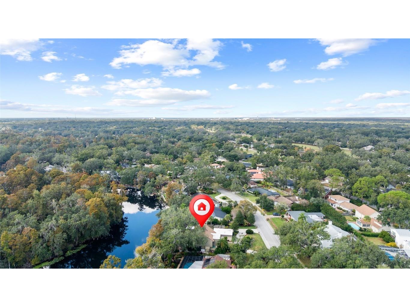 1221 N Riverhills Drive Temple Terrace FL 33617 - HILLSBOROUGH RIVER TB8449712 image76