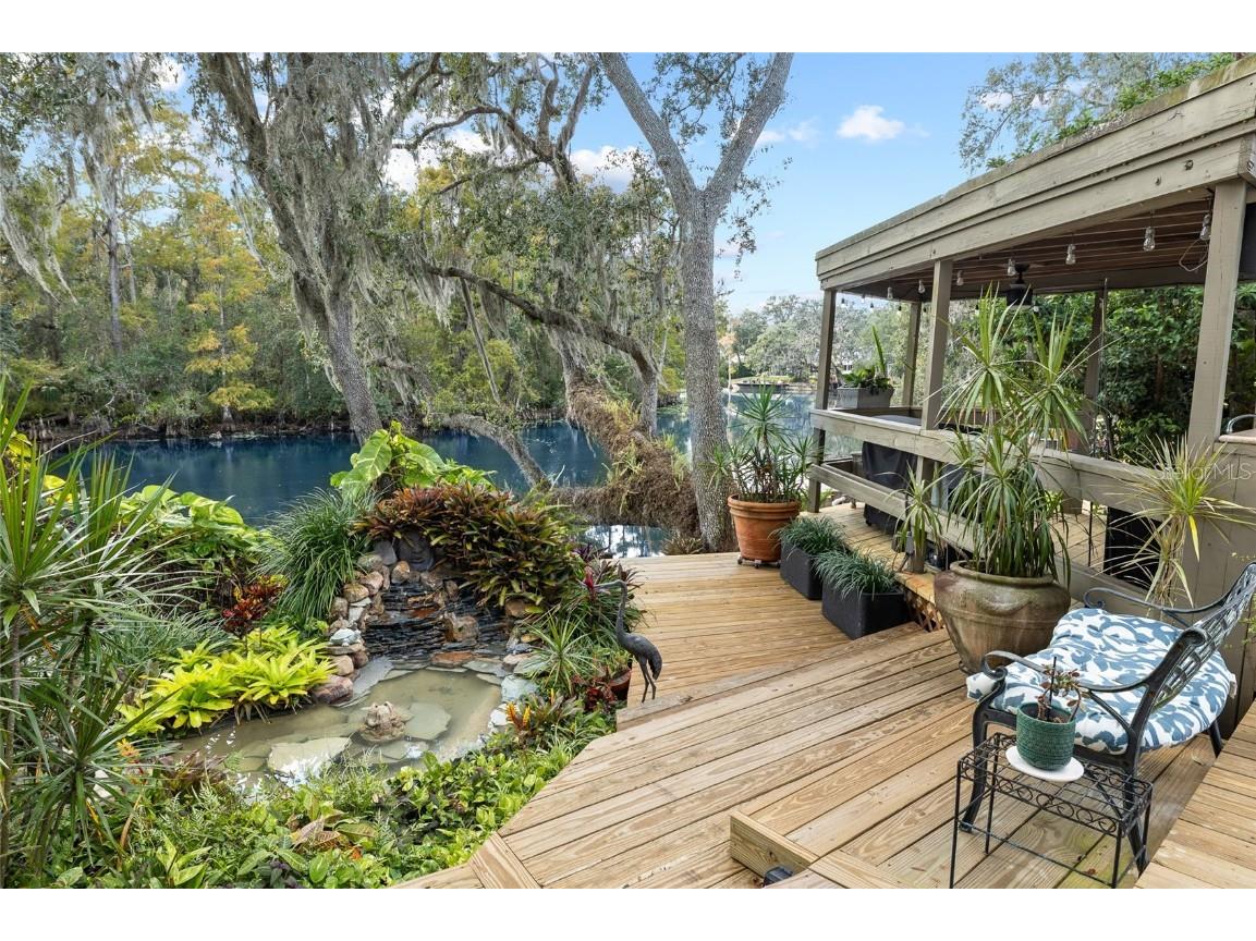 1221 N Riverhills Drive Temple Terrace FL 33617 - HILLSBOROUGH RIVER TB8449712 image9