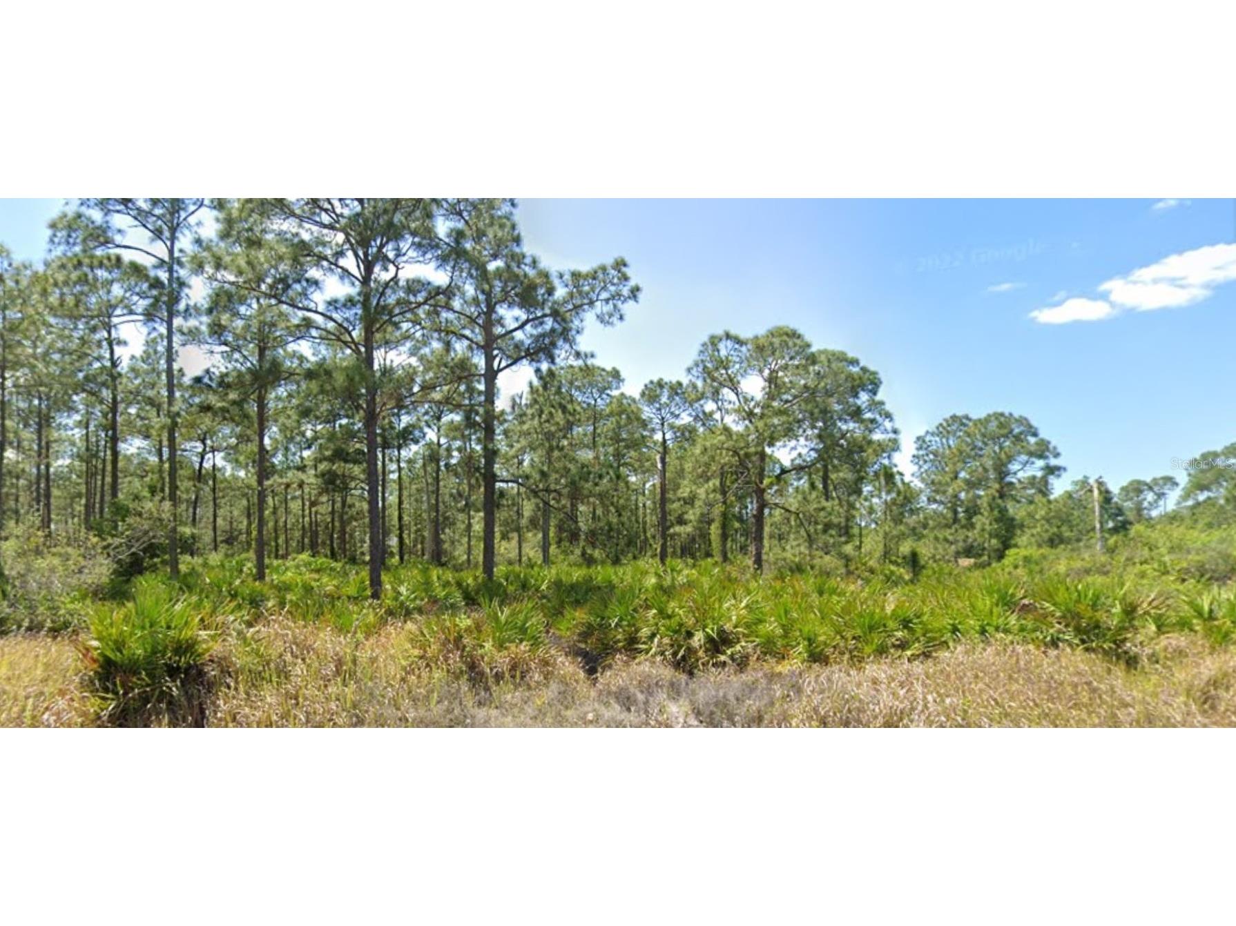 1221 Prospect Avenue Lehigh Acres FL 33972 O6174256 image1