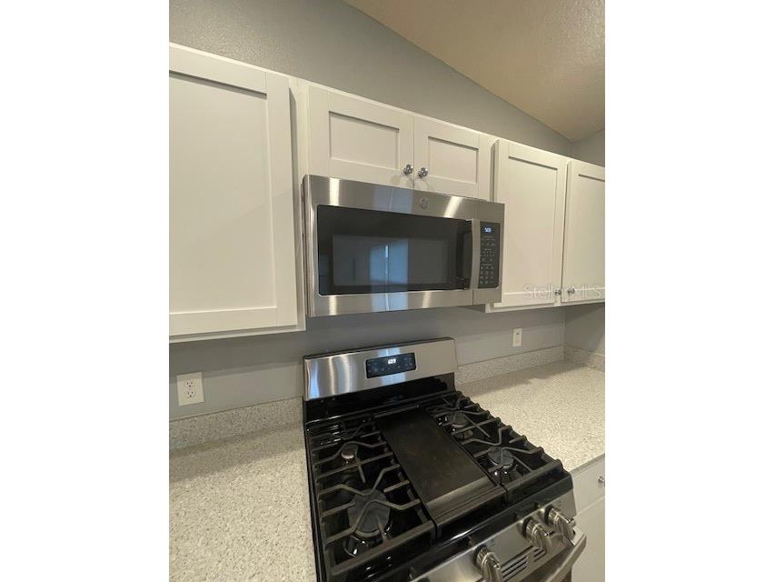 1221 Sean Curran Court The Villages FL 34762 O6397238 image33
