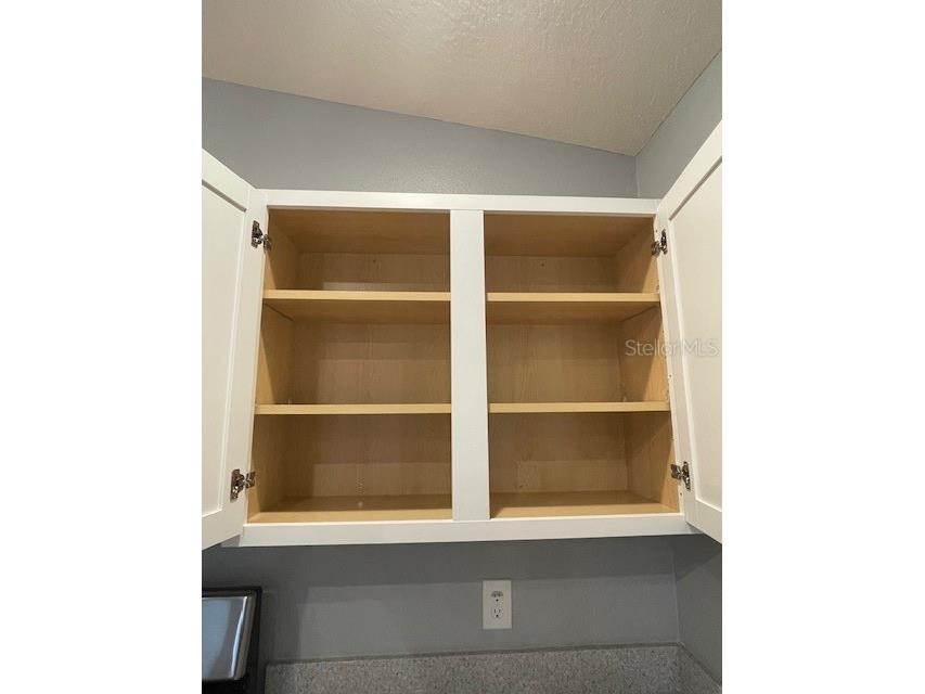 1221 Sean Curran Court The Villages FL 34762 O6397238 image38