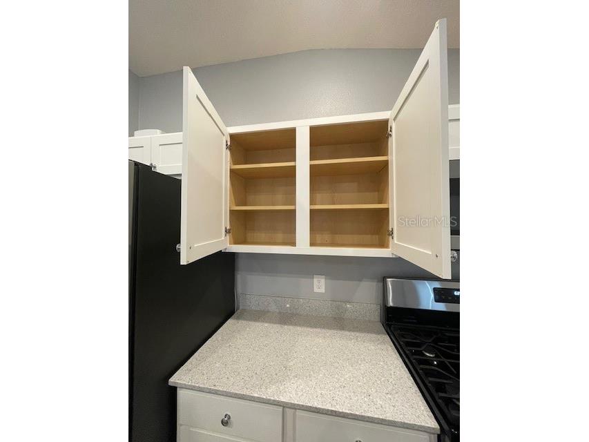 1221 Sean Curran Court The Villages FL 34762 O6397238 image39