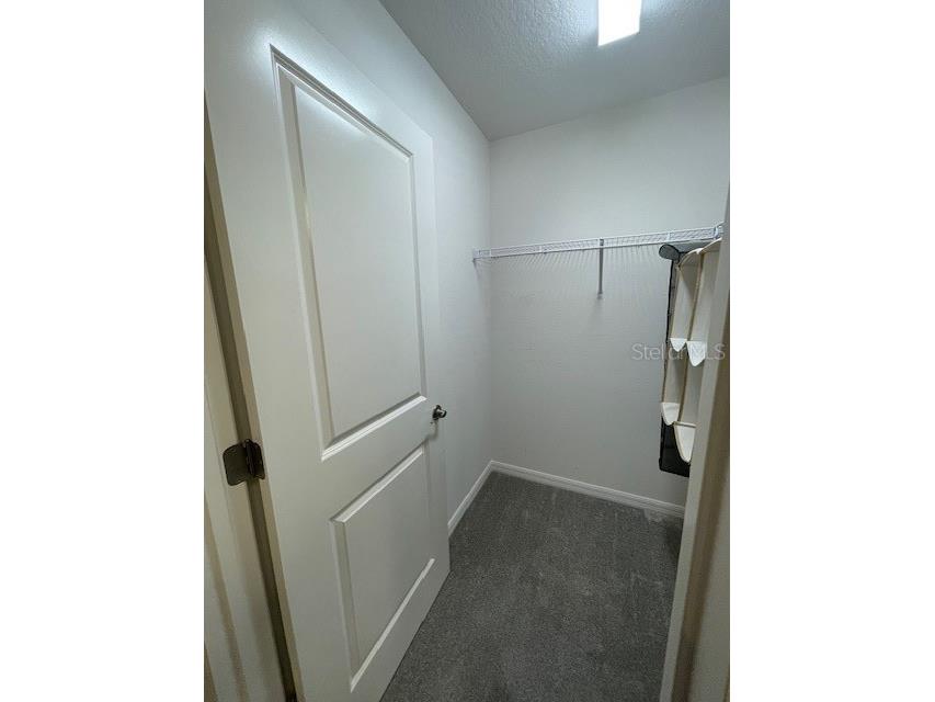 1221 Sean Curran Court The Villages FL 34762 O6397238 image58