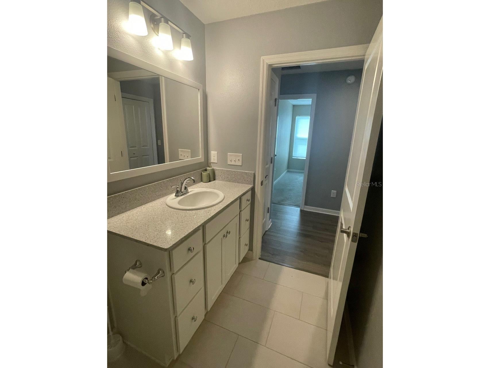 1221 Sean Curran Court The Villages FL 34762 O6397238 image67