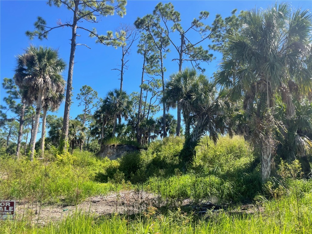 1221 Underhill Circle Port Charlotte FL 33953 - VENUS WATERWAY CANAL G5103444 image4