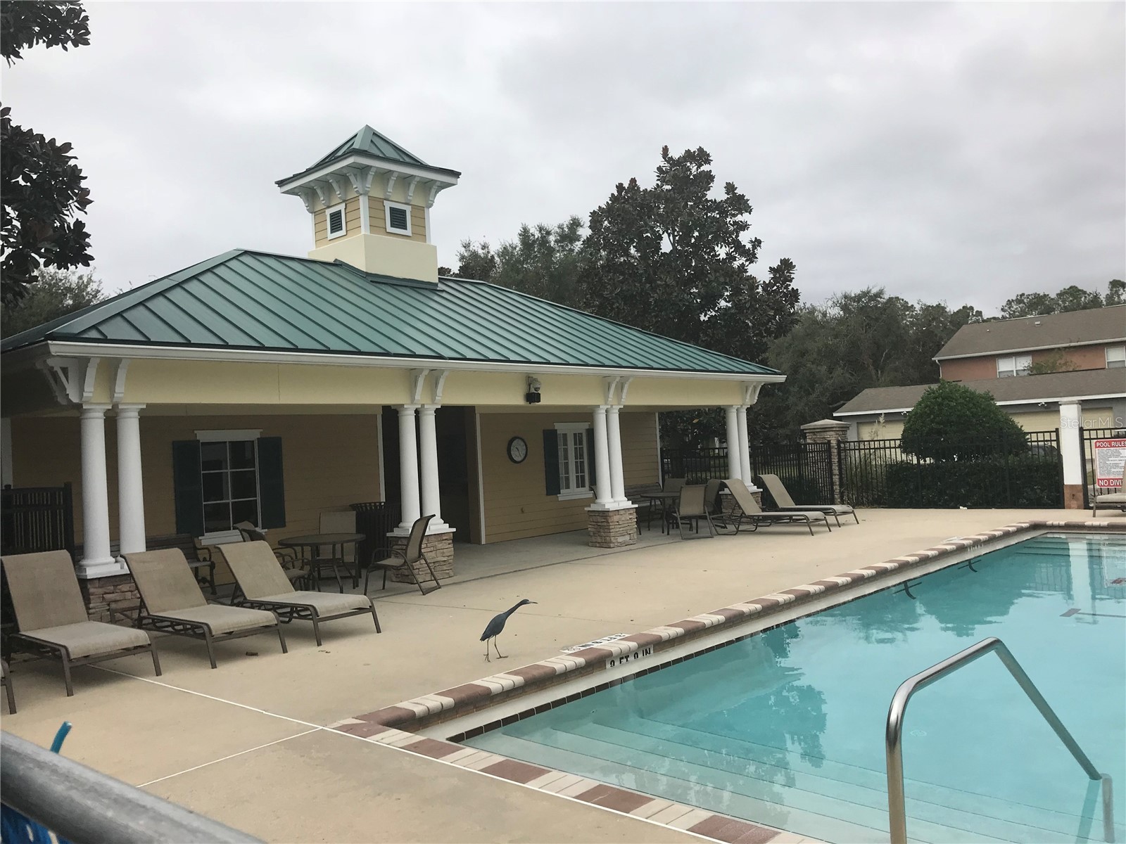 12210 Langstaff Drive Windermere FL 34786 O6400117 image34