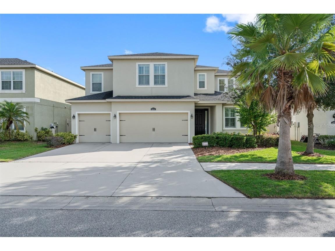 12210 Morgans Bluff Place Riverview FL 33579 O6163033 image1