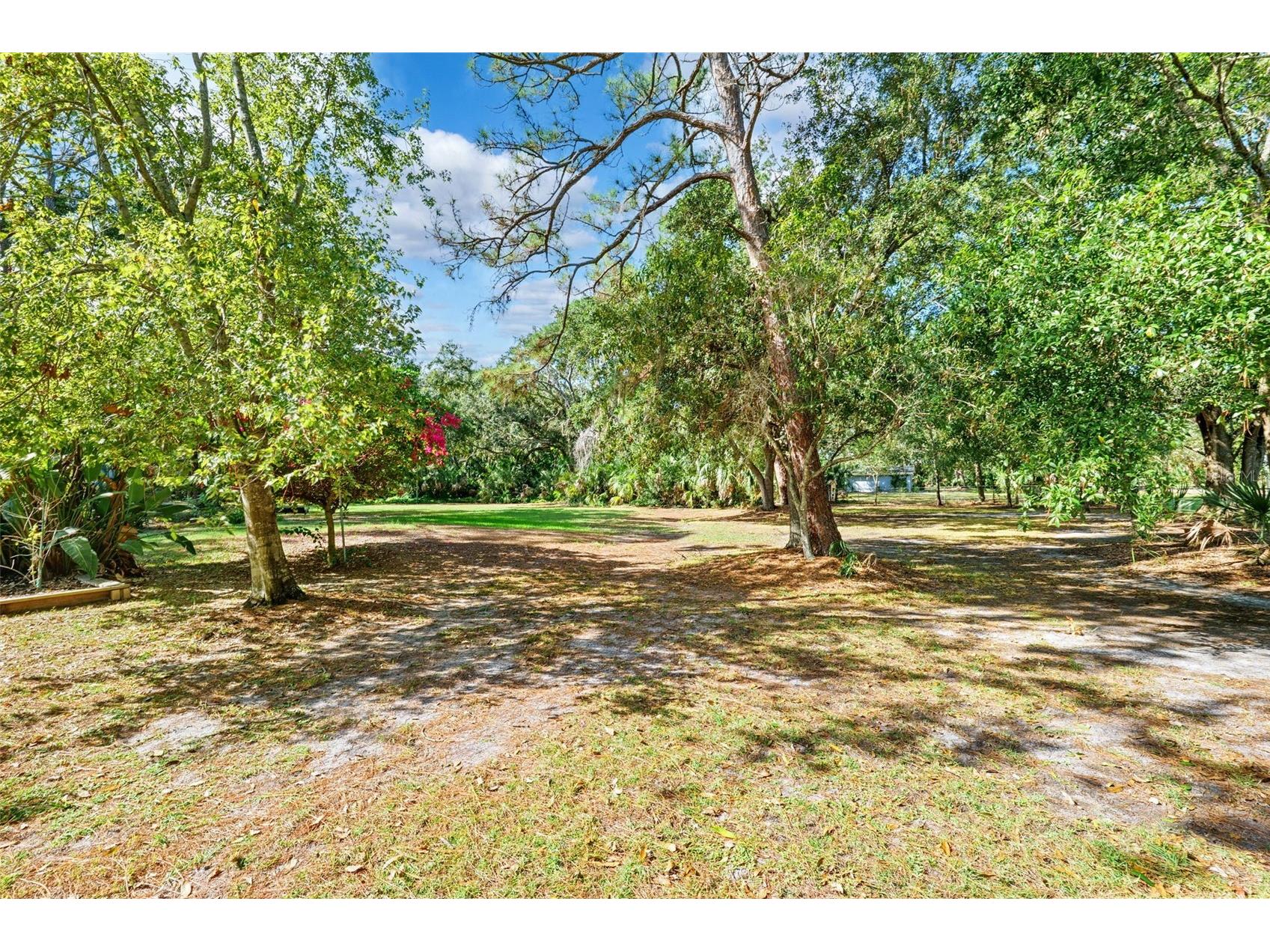 12210 State Street Tampa FL 33635 TB8444961 image34