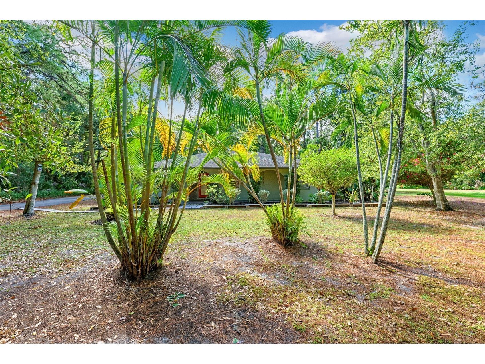 12210 State Street Tampa FL 33635 TB8444961 image39