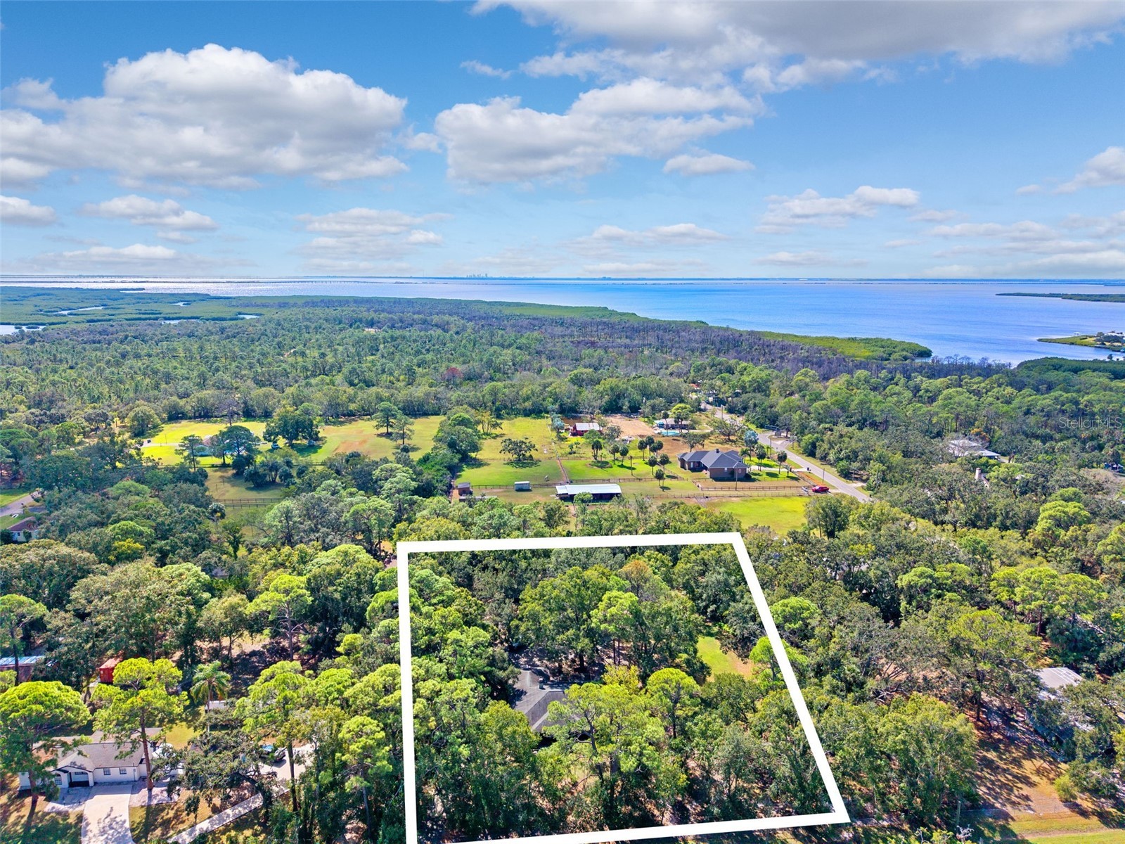 12210 State Street Tampa FL 33635 TB8444961 image4