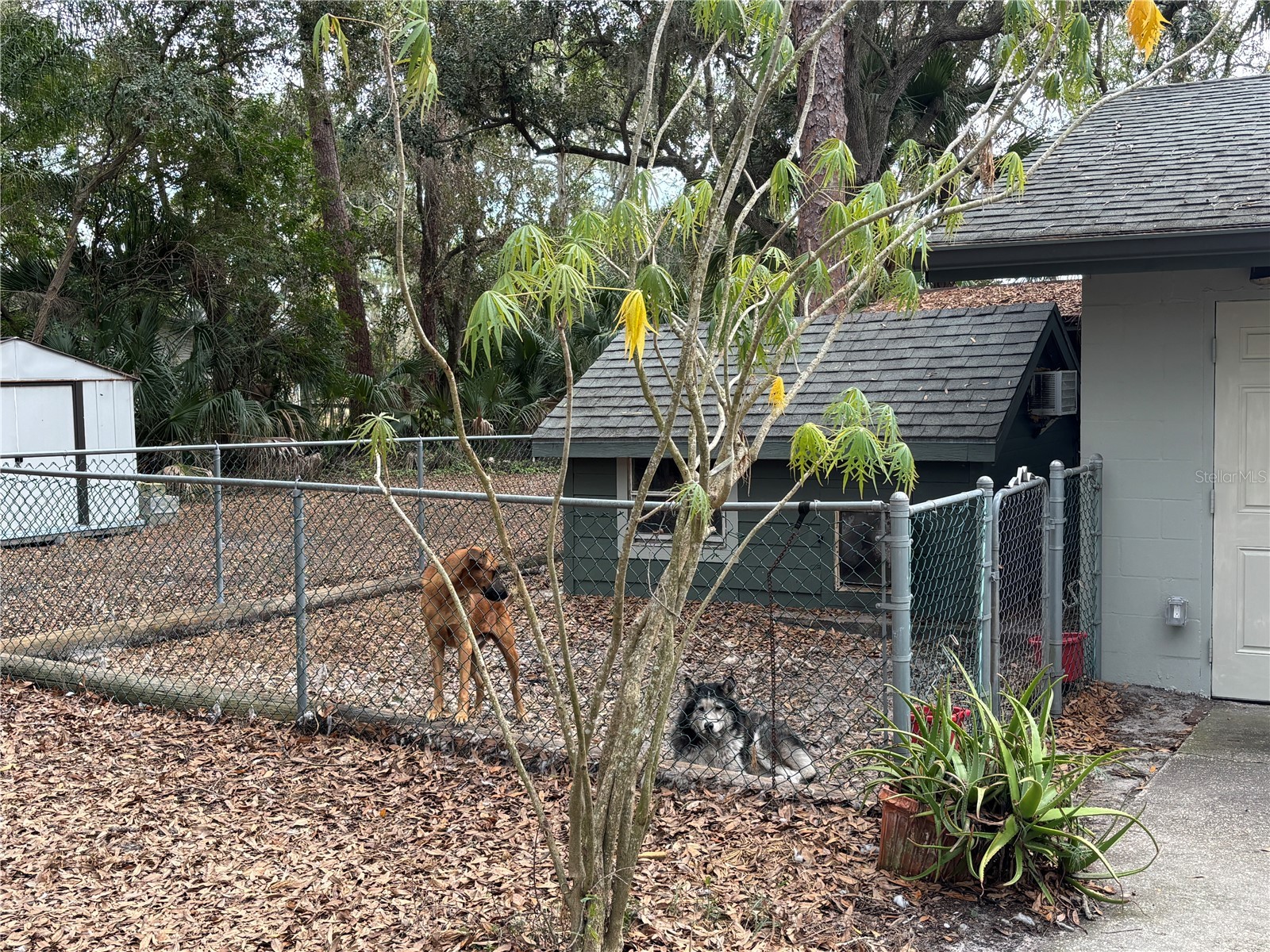 12210 State Street Tampa FL 33635 TB8444961 image43