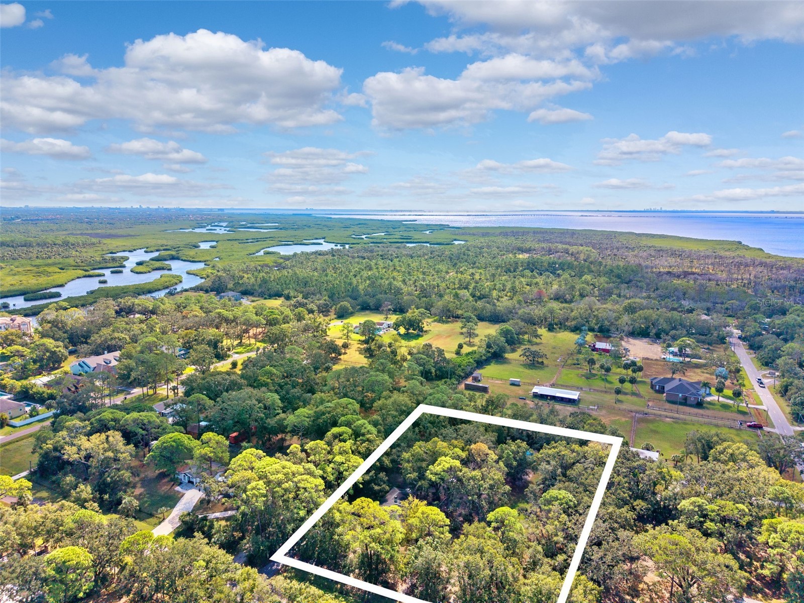 12210 State Street Tampa FL 33635 TB8444961 image44