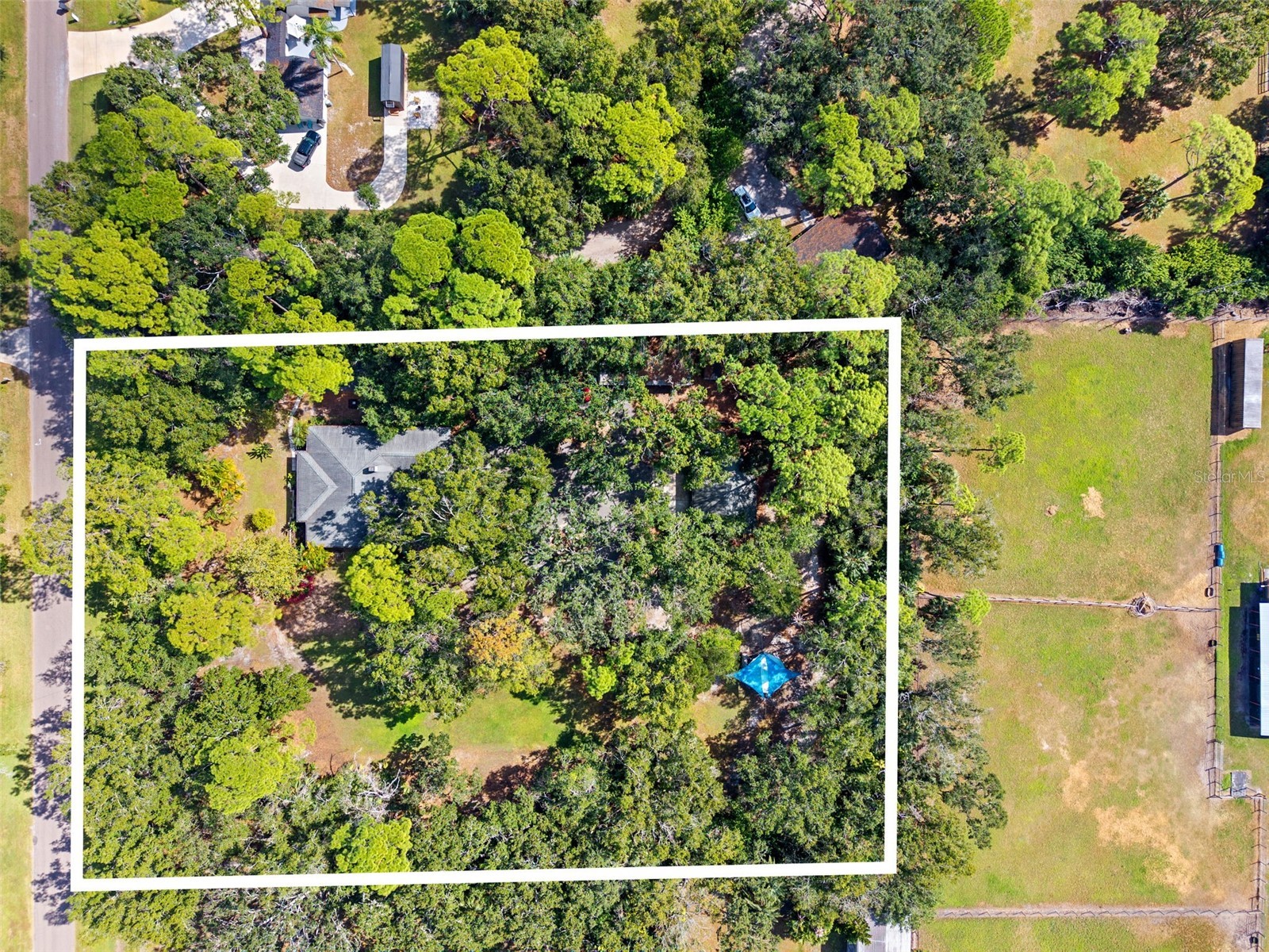 12210 State Street Tampa FL 33635 TB8444961 image45