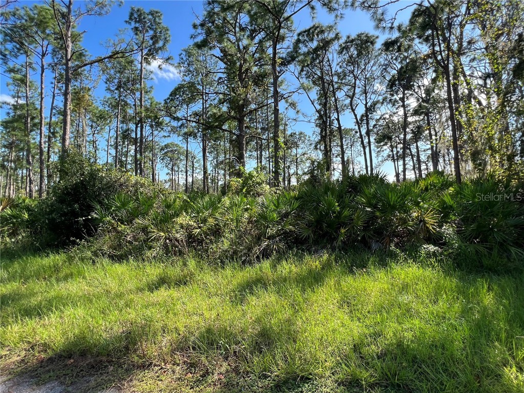 12211 Cotter Avenue Port Charlotte FL 33953 A4585973 image1