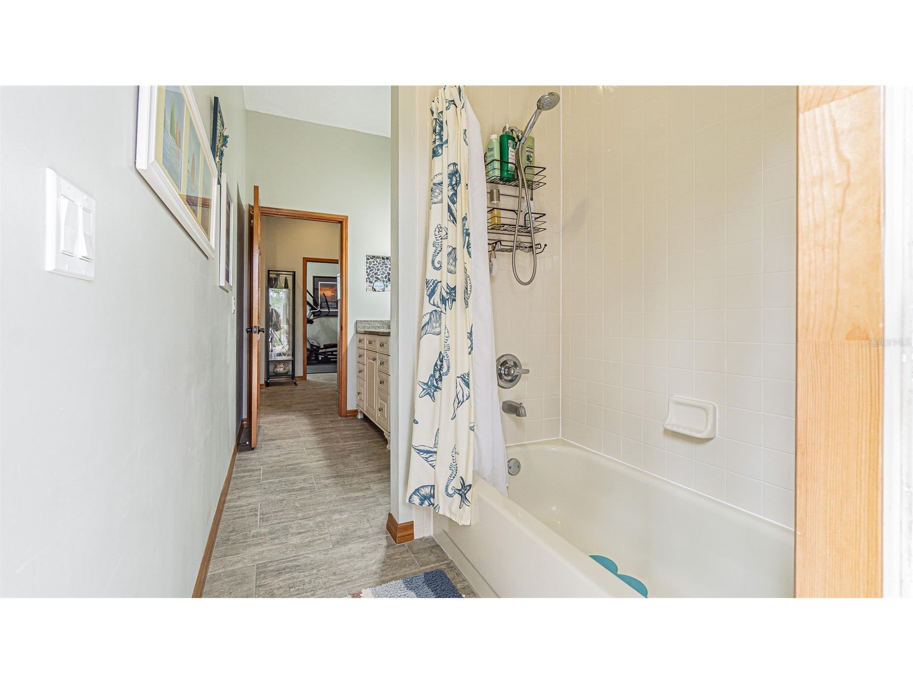 12211 Count Place Thonotosassa FL 33592 TB8482261 image27